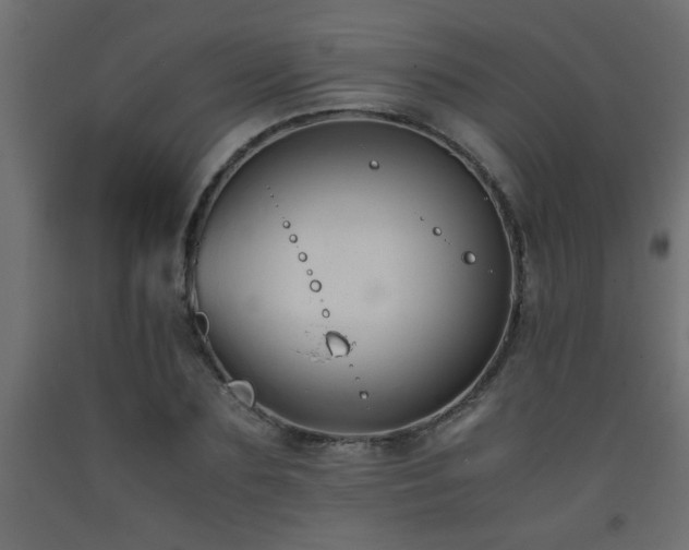 X0000093570883200710151125