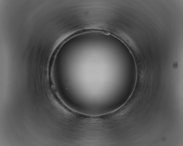 X0000093570884200710151125