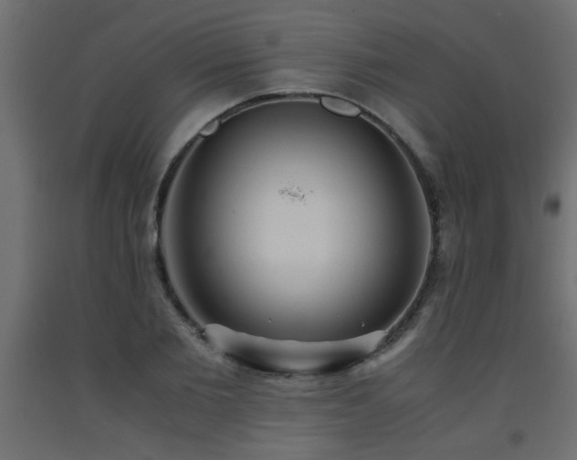X0000093570885200710151125