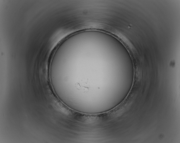 X0000093570886200710151125