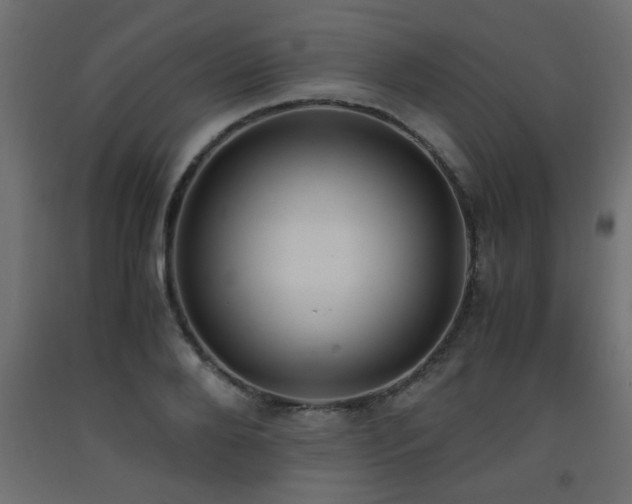 X0000093570888200710151125