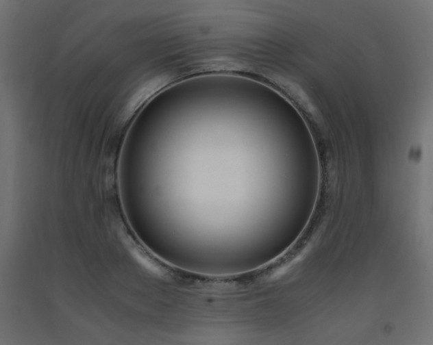 X0000093570889200710151125