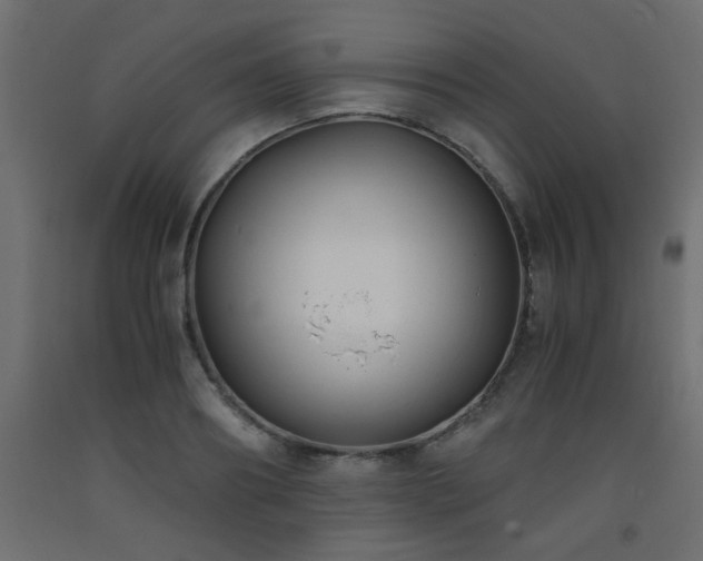 X0000093570890200710151125