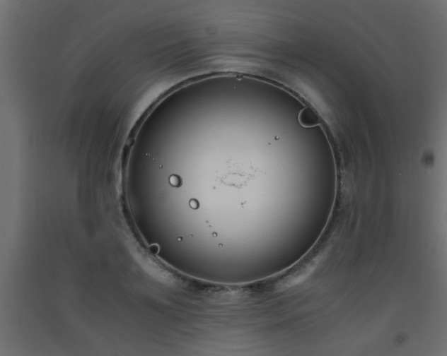 X0000093570891200710151125