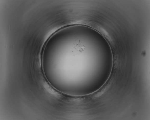 X0000093570892200710151125