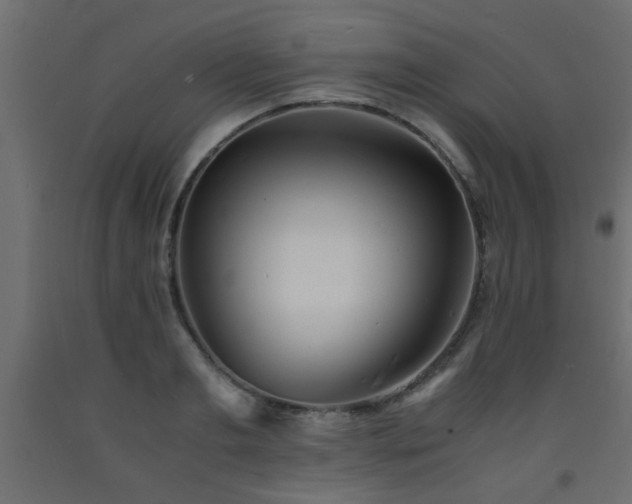 X0000093570893200710151125