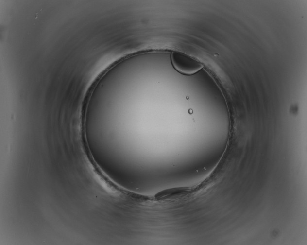 X0000093570894200710151125