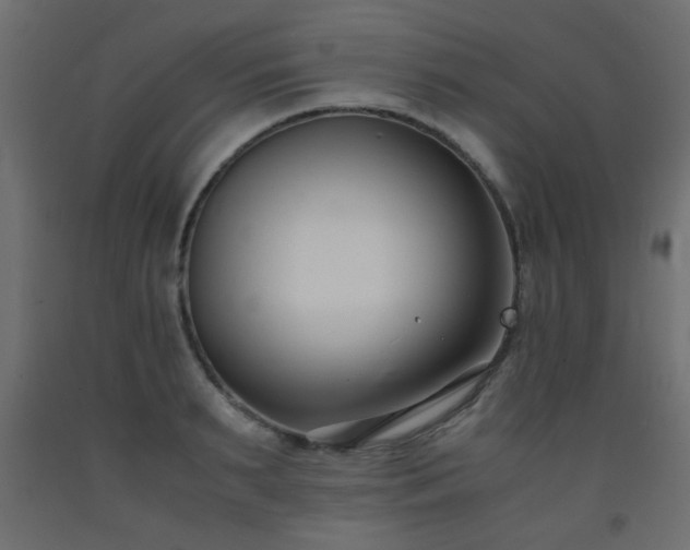 X0000093570895200710151125