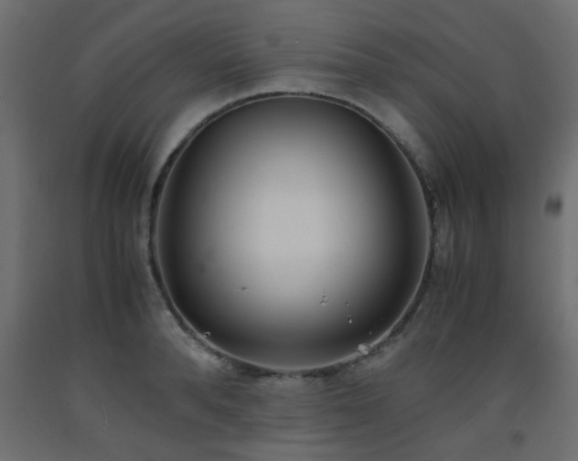 X0000093570896200710151125