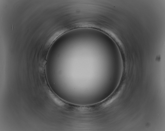 X0000093570897200710151125