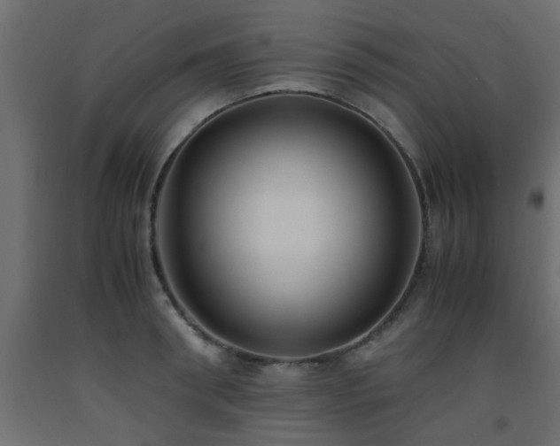 X0000093570898200710151125