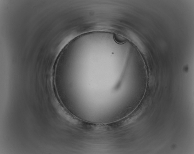 X0000093570899200710151125