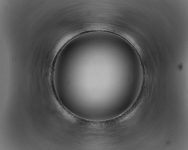 X0000093570901200710151125