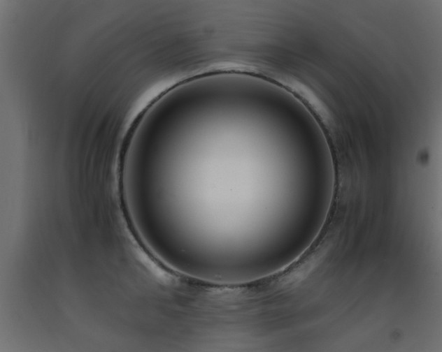 X0000093570902200710151125