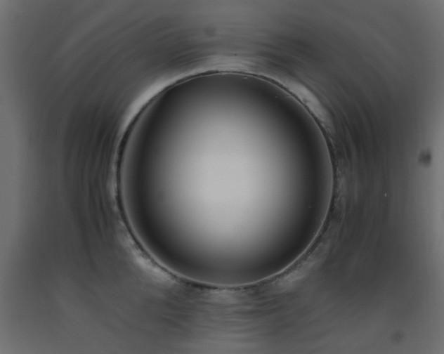 X0000093570904200710151125