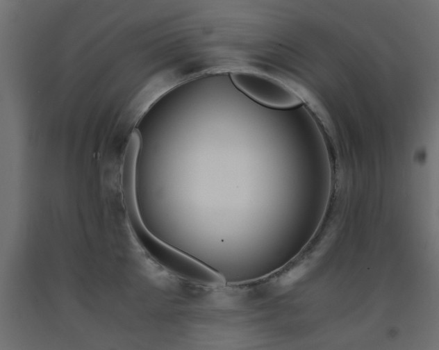 X0000093570905200710151125
