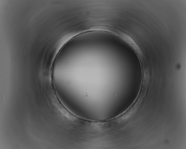 X0000093570908200710151125