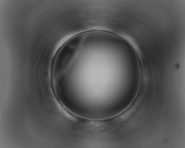 X0000093570910200710151125