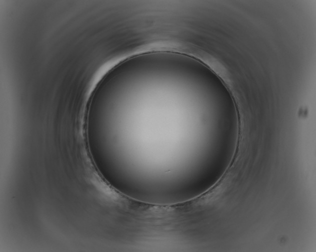 X0000093570912200710151125