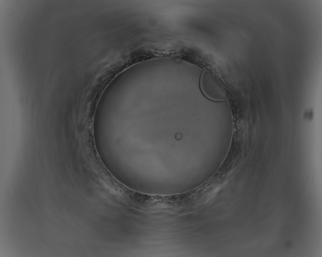 X0000093570913200710151124