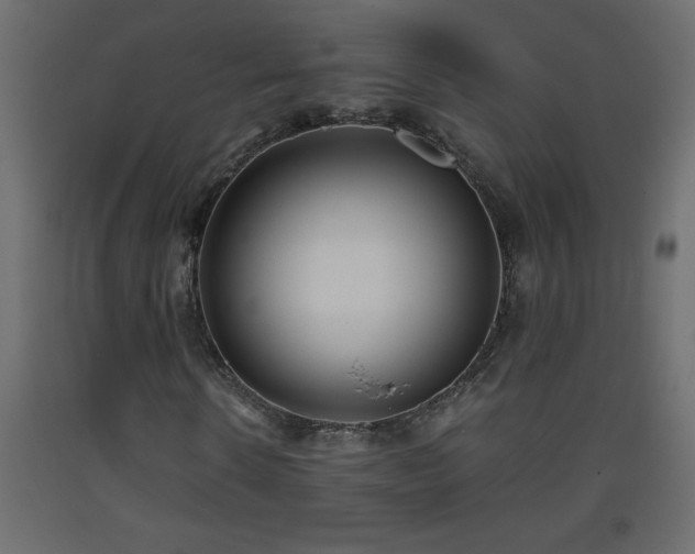 X0000093570914200710151124