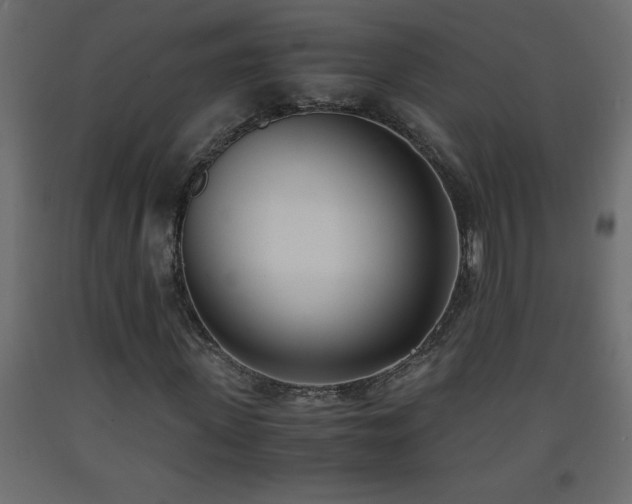 X0000093570915200710151124