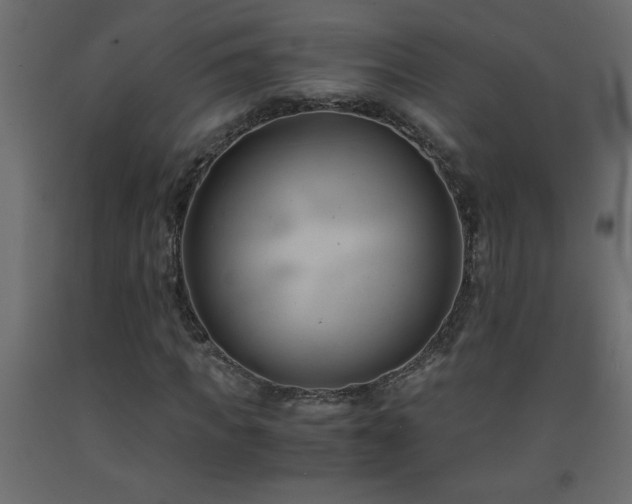 X0000093570917200710151124