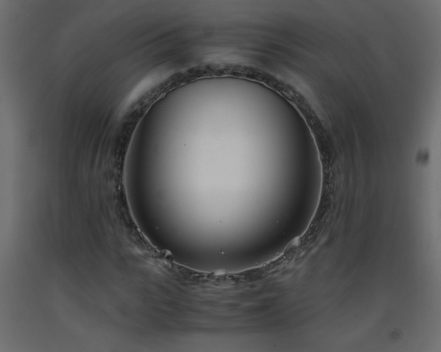 X0000093570919200710151124
