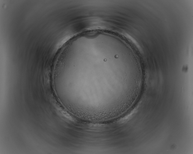 X0000093570921200710151124