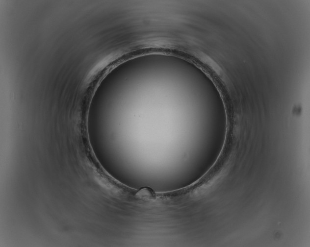 X0000093570922200710151124