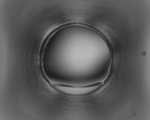 X0000093570924200710151124