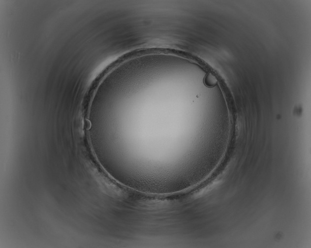 X0000093570925200710151124