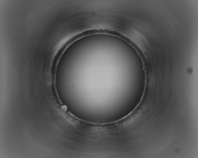 X0000093570927200710151124