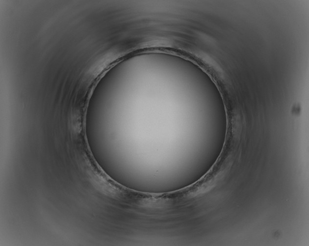 X0000093570929200710151124