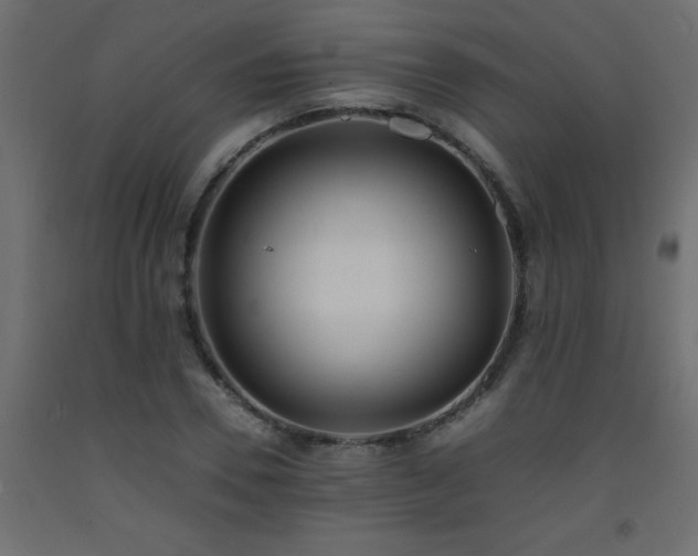 X0000093570930200710151124