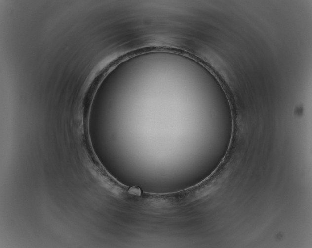 X0000093570931200710151124