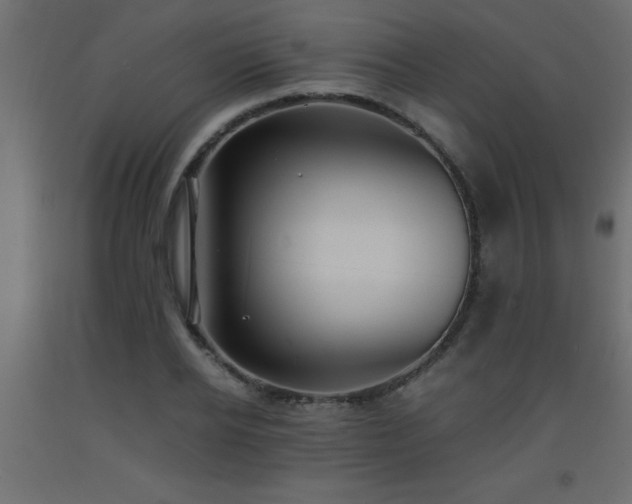 X0000093570934200710151125