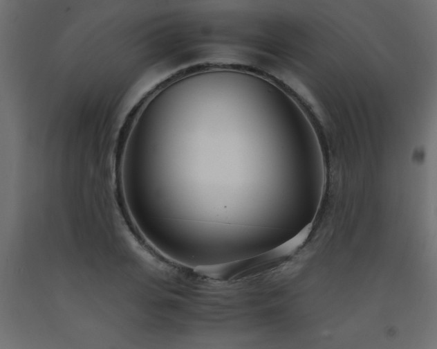 X0000093570935200710151125