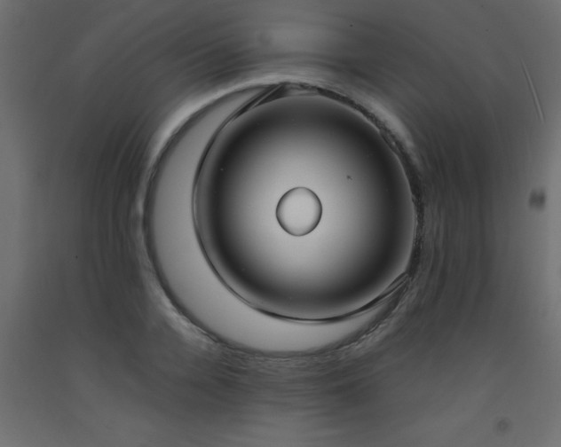 X0000093570936200710151125