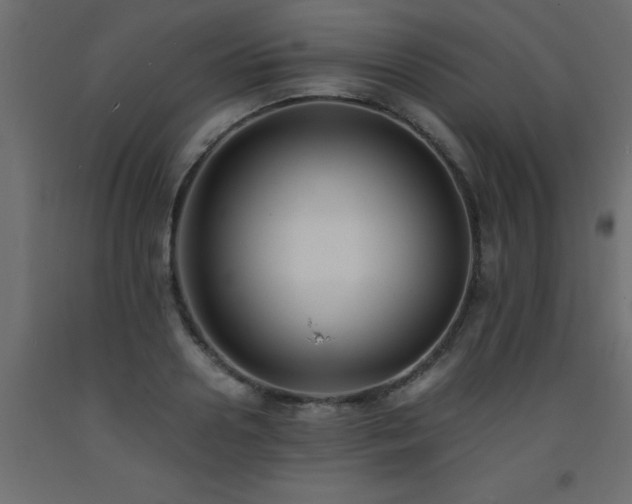 X0000093570938200710151125