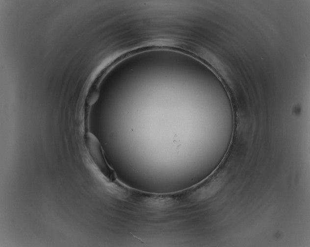 X0000093570939200710151125