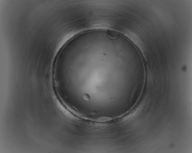 X0000093570941200710151125
