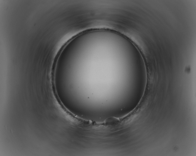 X0000093570943200710151125