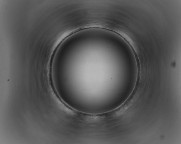 X0000093570949200710151125