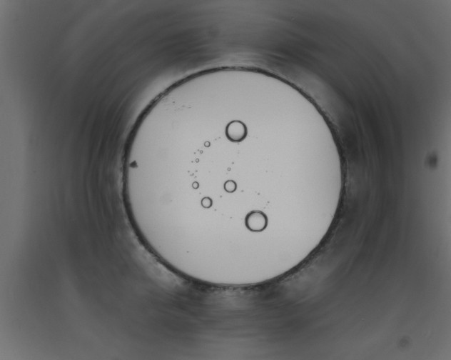 X0000093570950200710151125