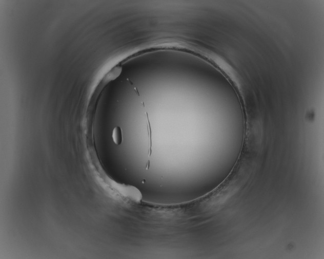 X0000093570951200710151125