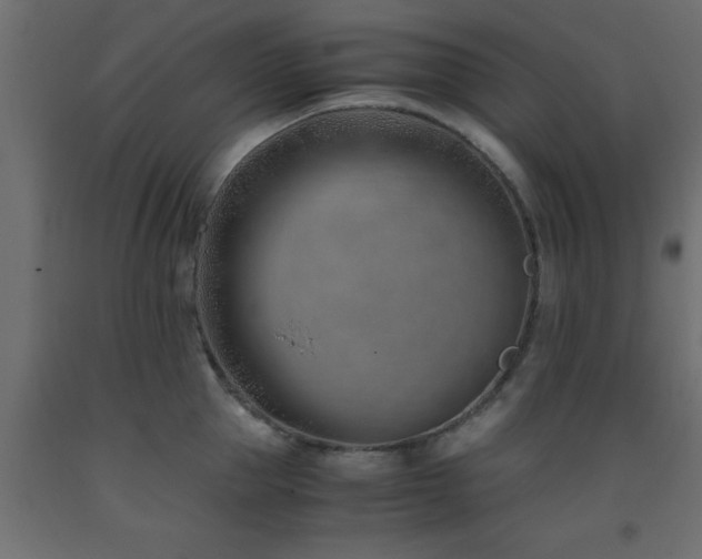 X0000093570953200710151125