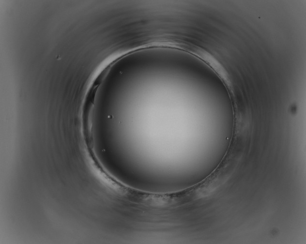 X0000093570955200710151125