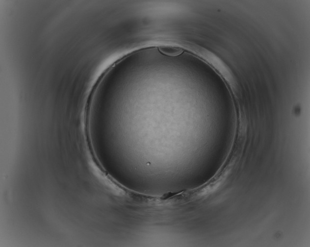 X0000093570958200710151125