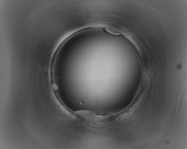 X0000093570959200710151125